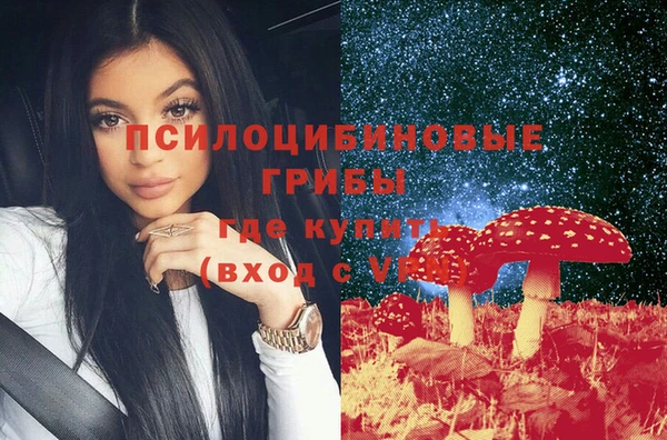 гидропоника Покачи