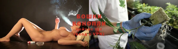 спайс Дмитриев