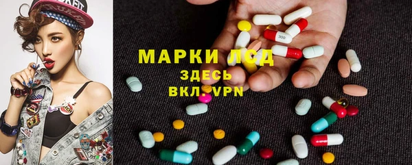 мяу мяу мука Ельня