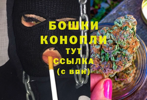 спайс Дмитриев