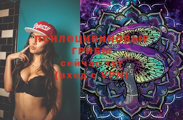 дживик Покров
