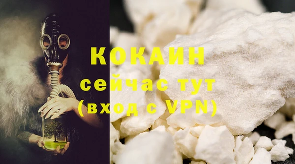 спайс Дмитриев