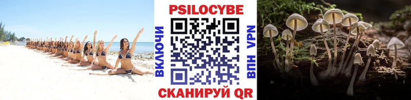 Галлюциногенные грибы MAGIC MUSHROOMS  цены   Салаир 